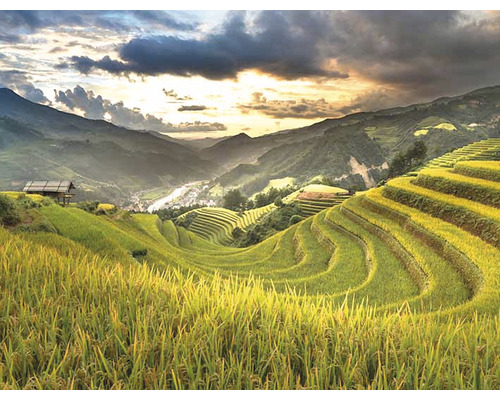 Krajina s ryžovými poliami na svahu a domom