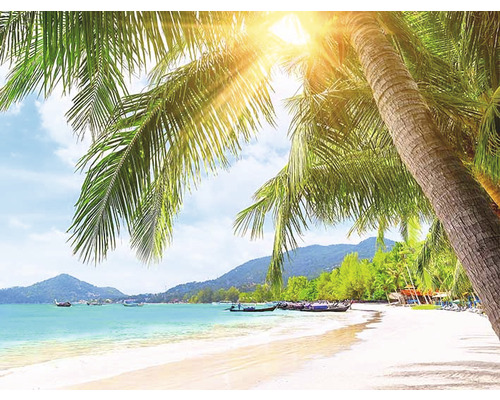 Tropická pláž s palmami a tyrkysovou vodou