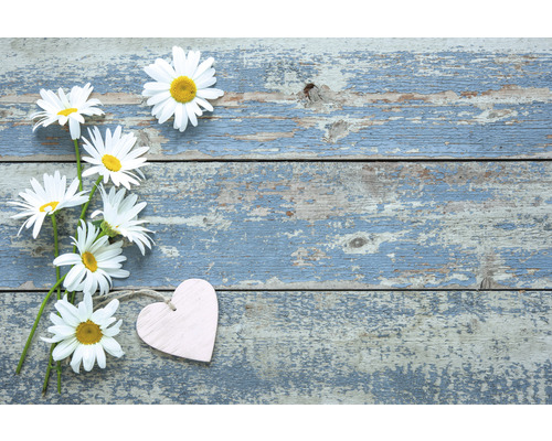 Sedmokrásky a srdce na drevenom stole