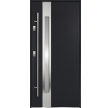 Vchodové dvere s tyčovým držadlom a sklenenou vložkou