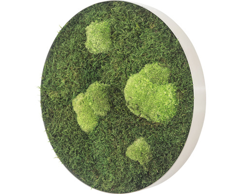 Dekoratívny machový obraz v okrúhlom ráme