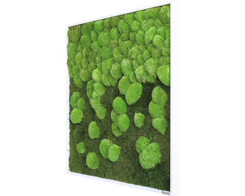 Machový obraz s rámom na dekoráciu stien