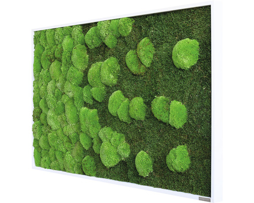 Machový obraz s bielym rámom