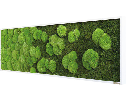 Machový obraz s rámom