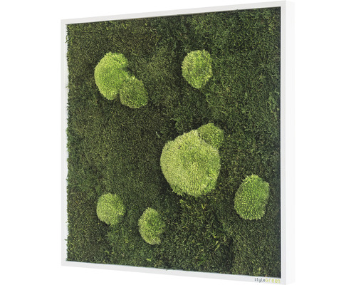 Machový obraz s rámom