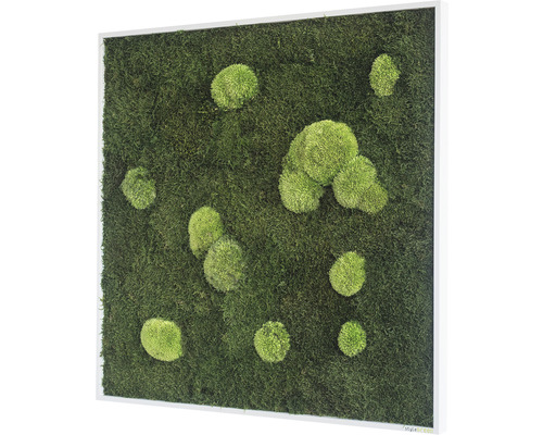 Machový obraz s rámom a machovými guľami