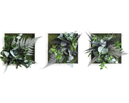Obraz z rastlín styleGREEN Džungľa 3ks 22x22 cm