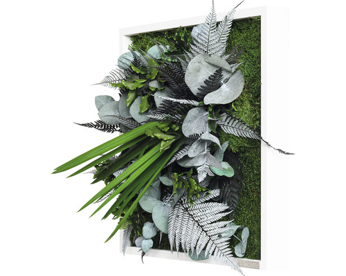 Machový obraz s rôznymi papraďami a eukalyptom v bielom ráme