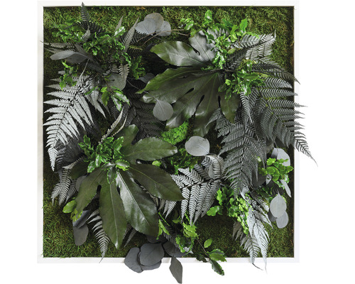 Obraz z rastlín styleGREEN Džungľa 55x55 cm