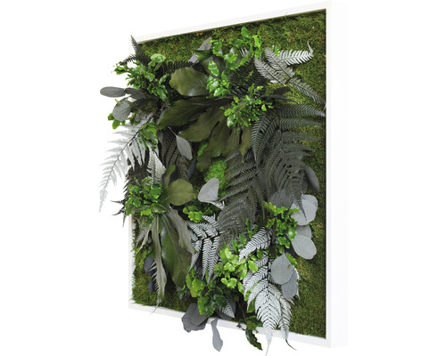 Dekoratívny rastlinný obraz s rôznymi zelenými rastlinami a machom v bielom ráme