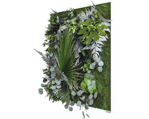 Machový obraz s rôznymi rastlinami v bielom ráme