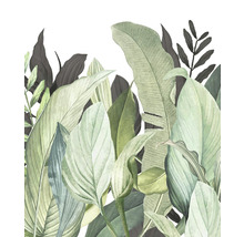Ilustrácia tropických listov ako dekorácia