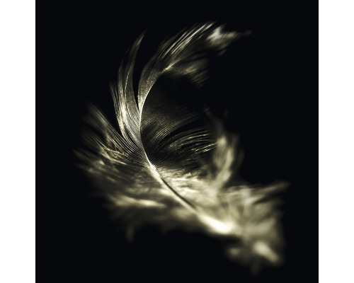 Sklenený obraz The feather 30x30 cm