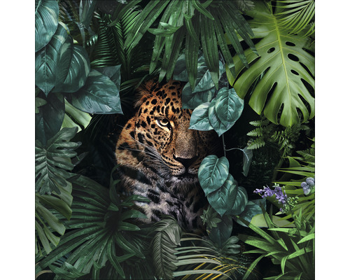 Sklenený obraz Jaguar in the jungle 50x50 cm