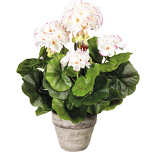 Umelá pelargónia v kvetináči na dekoráciu