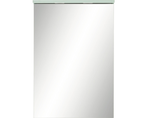 Zrkadlová skrinka Möbelpartner Spot 50,4 x 23,7 x 72,3 cm mätová zelená