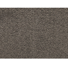 Detail koberca s krátkym vlasom