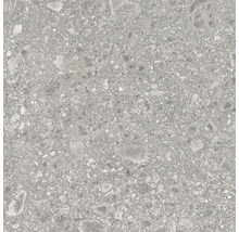 Dlažba teraco Lombarda Grigio 60x60x1