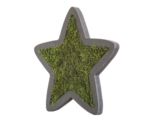 Dekoračná hviezda s machovou výplňou