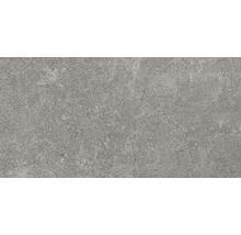 Sivá dlažba s kamenným vzhľadom