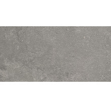 Sivá kameninová dlaždica s matným povrchom