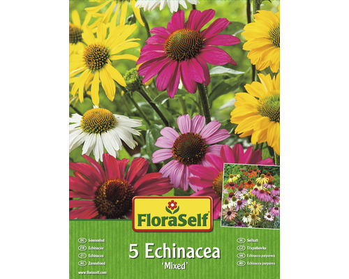 Echinacea mix FloraSelf balenie 5 ks