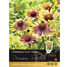 Balenie Echinacea Green Twister pre záhradu
