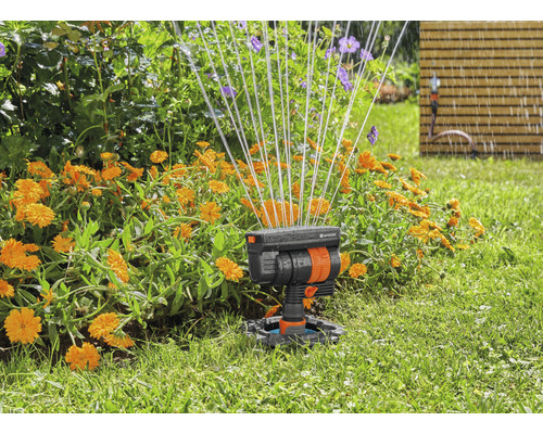Záhradná scéna so zavlažovačom trávnika v akcii na zavlažovanie kvetov