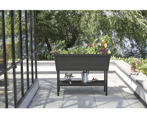 Vyvýšený záhon s rastlinami na terase