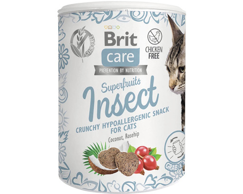 Maškrty pre mačky Brit Care Superfruits Insect 100 g
