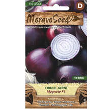 Balenie semien cibule Magnate F1