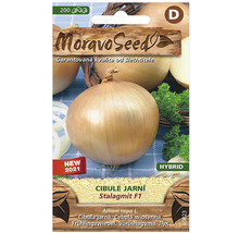 Semenáč jarnej cibule Stalagmit F1