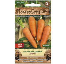 Balenie semien mrkvy