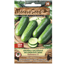 Balenie semien mini šalátovej uhorky Kalimero F1