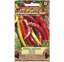 Balenie semien Moravo Seed Paprika Kozí Roh Harriet