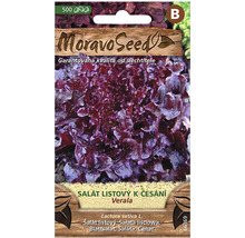 Balenie semien šalátu listového Verala