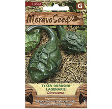 Balíček semien okrasnej tekvice MoravoSeed Dinosaurus