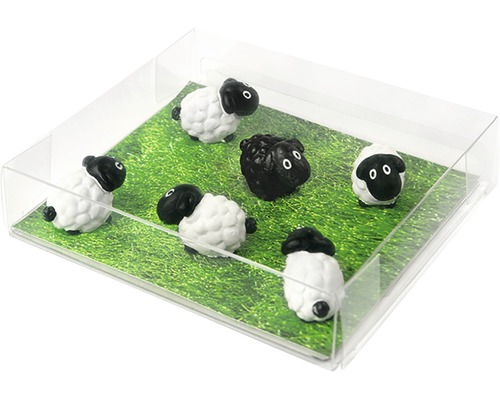 Dekoratívne stádo oviec v priehľadnej krabici na zelenej lúke