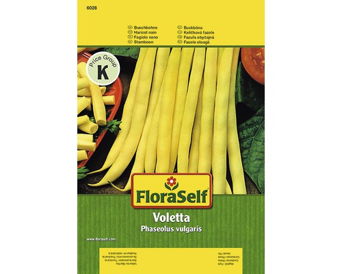 Kríčková fazuľa 'Voletta' FloraSelf-0