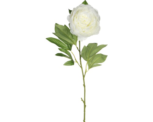 Umelá kvetina pivonka krémová 76 cm