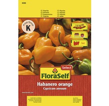 Balíček semien FloraSelf Habanero Orange paprika