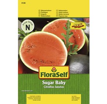 Balenie semien vodného melónu FloraSelf Sugar Baby