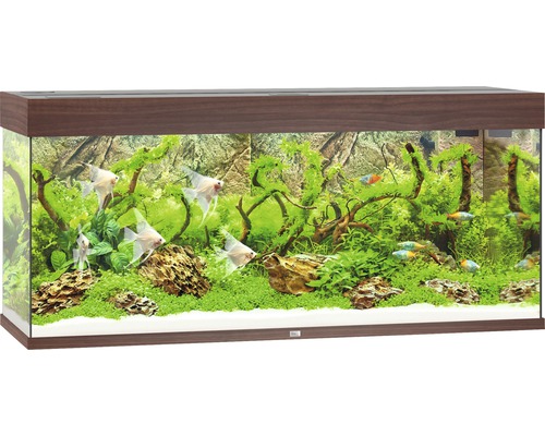 Akvárium s rybami, rastlinami a dekoratívnym pozadím