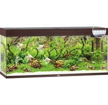 Akvárium s rybami, rastlinami, kameňmi a osvetlením