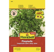 Balíček semien pimpinelly FloraSelf