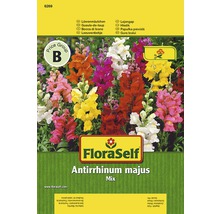 FloraSelf Papuľka previslá Antirrhinum majus Mix balenie semien