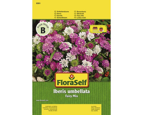 FloraSelf Stetičník okolíkatý Fairy Mix semienka