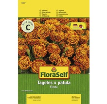 Semená FloraSelf Aksamietnica rozkladitá Fiesta