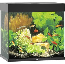 Akváriový set Juwel Lido 120 LED čierny 120 l-thumb-2