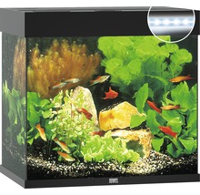 Akváriový set Juwel Lido 120 LED čierny 120 l-thumb-0
